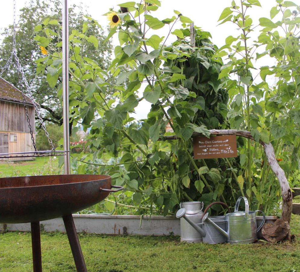 Bauernhof Hammerer Egg Ngoại thất bức ảnh